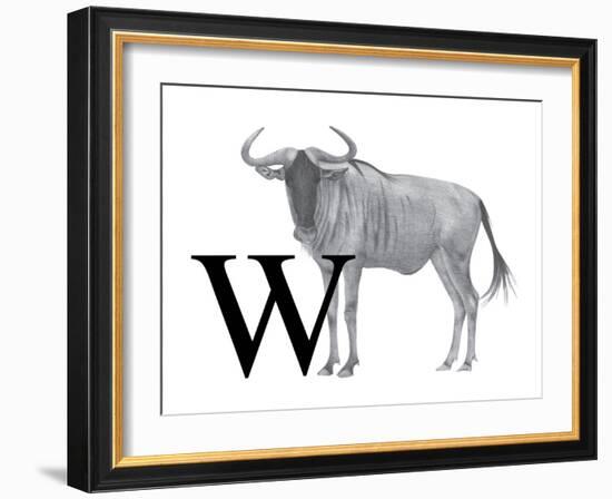 W is for Wildebeest-Stacy Hsu-Framed Art Print