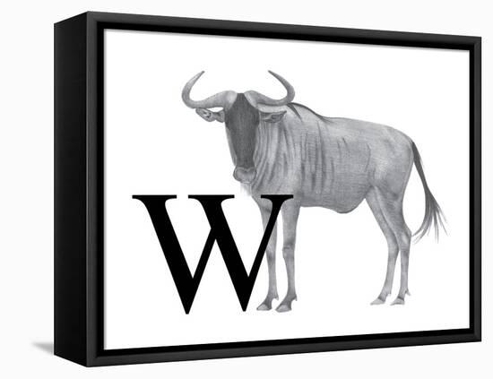 W is for Wildebeest-Stacy Hsu-Framed Stretched Canvas