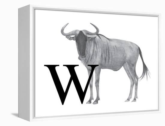 W is for Wildebeest-Stacy Hsu-Framed Stretched Canvas