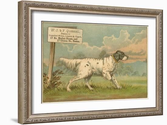 W.J. and F. Quennell Trade Card with an English Setter-null-Framed Giclee Print