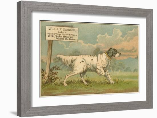 W.J. and F. Quennell Trade Card with an English Setter-null-Framed Giclee Print