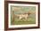 W.J. and F. Quennell Trade Card with an English Setter-null-Framed Giclee Print