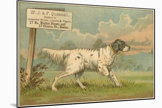 W.J. and F. Quennell Trade Card with an English Setter-null-Mounted Giclee Print