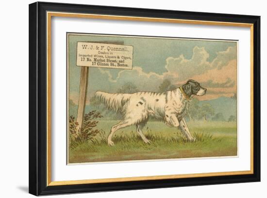 W.J. and F. Quennell Trade Card with an English Setter-null-Framed Giclee Print