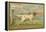 W.J. and F. Quennell Trade Card with an English Setter-null-Framed Premier Image Canvas