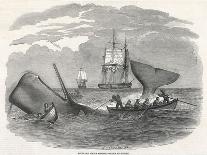 Whaling in the South Seas-W.j Linton-Premier Image Canvas