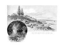 The First Landing Place, Botany Bay, New South Wales, Australia, 1886-W Macleod-Framed Giclee Print