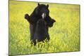 Premium Photographic Print