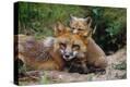 Stretched Canvas Print