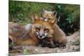 Photographic Print