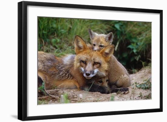 Photographic Print, , large