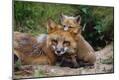 Photographic Print