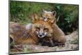 Photographic Print