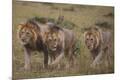Photographic Print