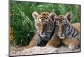 Premium Photographic Print