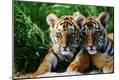 Photographic Print