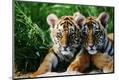 Photographic Print