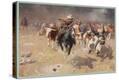 Stretched Canvas Print