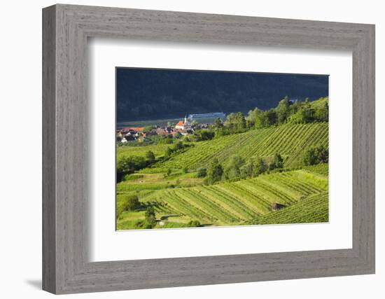 W?sendorf, the Danube, Wachau, Lower Austria, Austria-Rainer Mirau-Framed Photographic Print