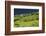 W?sendorf, the Danube, Wachau, Lower Austria, Austria-Rainer Mirau-Framed Photographic Print