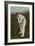 W. W. Armstrong, Cricket Player from Australia-null-Framed Premium Giclee Print