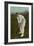 W. W. Armstrong, Cricket Player from Australia-null-Framed Premium Giclee Print