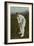 W. W. Armstrong, Cricket Player from Australia-null-Framed Premium Giclee Print