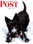 "Scotty in Snow," Saturday Evening Post Cover, January 30, 1943-W.W. Calvert-Framed Premier Image Canvas
