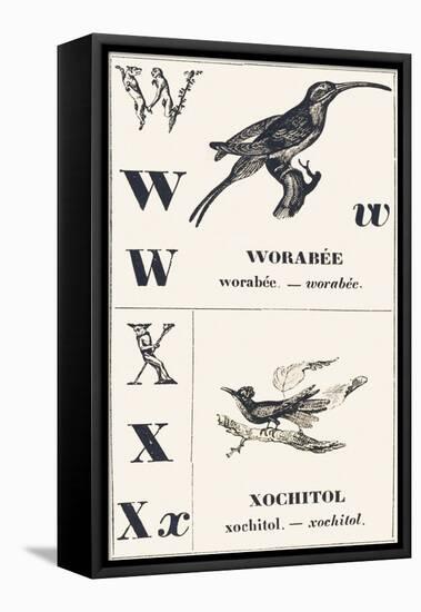 W X: Worabee — Xochotol, 1850 (Engraving)-Louis Simon (1810-1870) Lassalle-Framed Premier Image Canvas