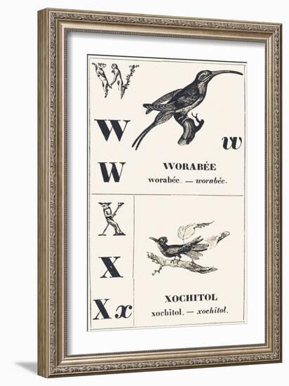 W X: Worabee — Xochotol, 1850 (Engraving)-Louis Simon (1810-1870) Lassalle-Framed Giclee Print