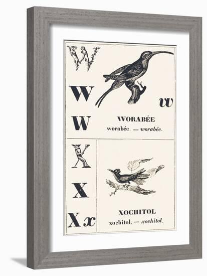 W X: Worabee — Xochotol, 1850 (Engraving)-Louis Simon (1810-1870) Lassalle-Framed Giclee Print