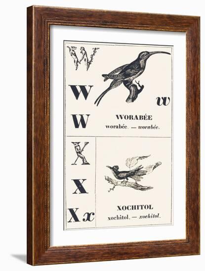 W X: Worabee — Xochotol, 1850 (Engraving)-Louis Simon (1810-1870) Lassalle-Framed Giclee Print