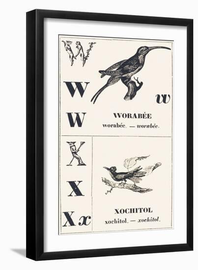 W X: Worabee — Xochotol, 1850 (Engraving)-Louis Simon (1810-1870) Lassalle-Framed Giclee Print