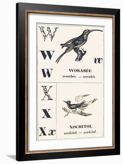 W X: Worabee — Xochotol, 1850 (Engraving)-Louis Simon (1810-1870) Lassalle-Framed Giclee Print