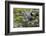 Wa, Juanita Bay Wetland, Great Blue Heron, Ardea Herodias-Jamie And Judy Wild-Framed Photographic Print