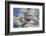 Wa, Mercer Slough, Wood Duck Ducklings, Aix Sponsa-Jamie And Judy Wild-Framed Photographic Print