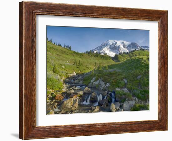 Wa, Mount Rainier National Park, Mount Rainier and Edith Creek-Jamie And Judy Wild-Framed Photographic Print