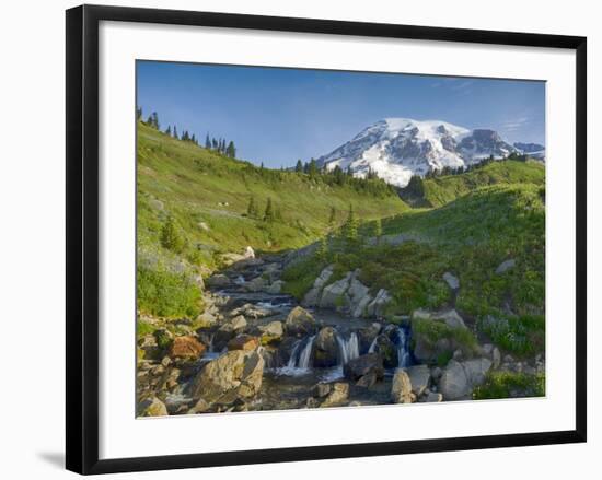 Wa, Mount Rainier National Park, Mount Rainier and Edith Creek-Jamie And Judy Wild-Framed Photographic Print