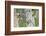 WA. Multiple images of a Red-breasted Sapsucker flying from nest in a red alder snag-Gary Luhm-Framed Photographic Print