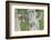 WA. Multiple images of a Red-breasted Sapsucker flying from nest in a red alder snag-Gary Luhm-Framed Photographic Print