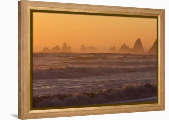 Wa, Olympic National Park, Sea Stacks at Sunset, Rialto Beach-Jamie And Judy Wild-Framed Premier Image Canvas