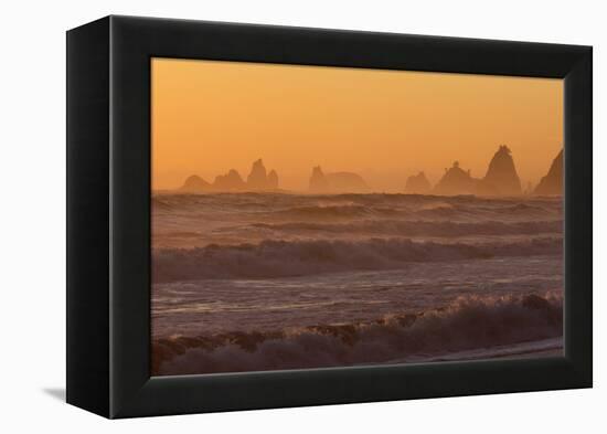Wa, Olympic National Park, Sea Stacks at Sunset, Rialto Beach-Jamie And Judy Wild-Framed Premier Image Canvas