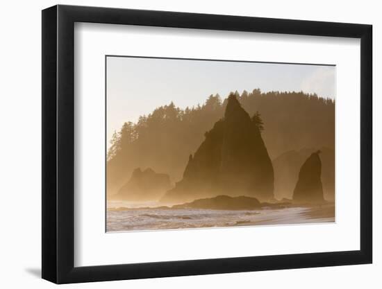 Wa, Olympic National Park, Sea Stacks at Sunset, Rialto Beach-Jamie And Judy Wild-Framed Photographic Print