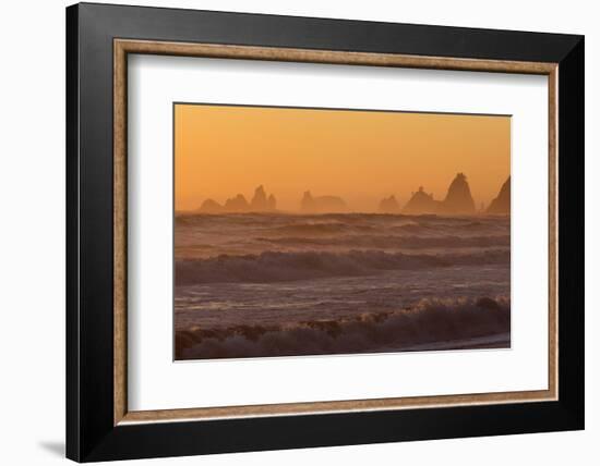 Wa, Olympic National Park, Sea Stacks at Sunset, Rialto Beach-Jamie And Judy Wild-Framed Photographic Print