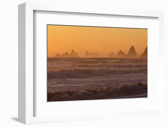 Wa, Olympic National Park, Sea Stacks at Sunset, Rialto Beach-Jamie And Judy Wild-Framed Photographic Print