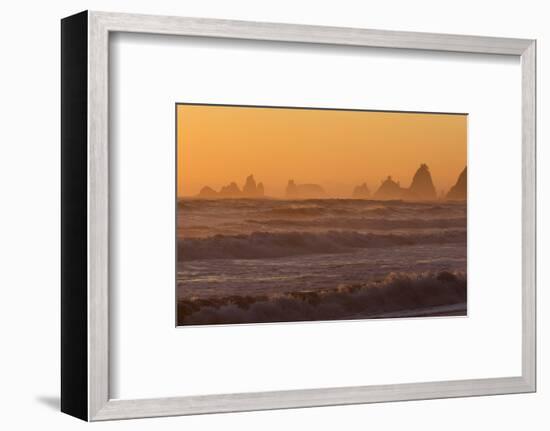 Wa, Olympic National Park, Sea Stacks at Sunset, Rialto Beach-Jamie And Judy Wild-Framed Photographic Print