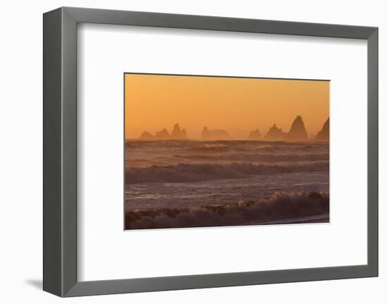 Wa, Olympic National Park, Sea Stacks at Sunset, Rialto Beach-Jamie And Judy Wild-Framed Photographic Print