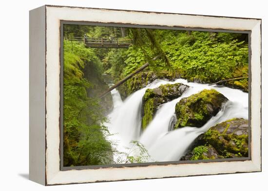 Wa, Olympic National Park, Sol Duc Falls-Jamie And Judy Wild-Framed Premier Image Canvas