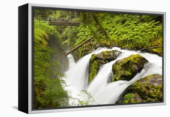 Wa, Olympic National Park, Sol Duc Falls-Jamie And Judy Wild-Framed Premier Image Canvas