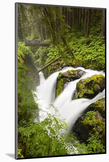 Wa, Olympic National Park, Sol Duc Falls-Jamie And Judy Wild-Mounted Photographic Print